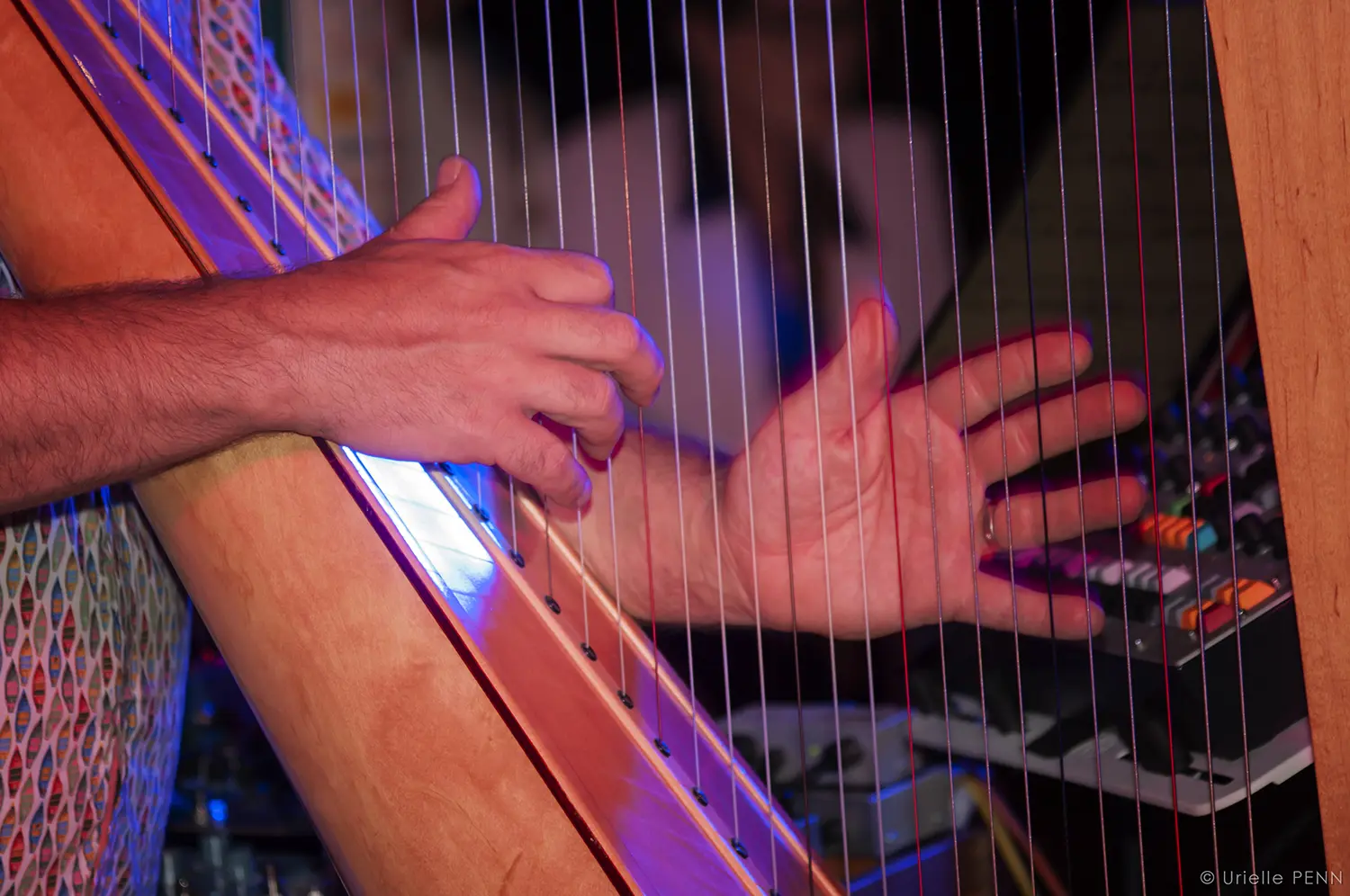 Mains jouant sur les cordes d'une harpe lors d'un concert dans une ambiance lumineuse rose et bleue - photo par Urielle Penn