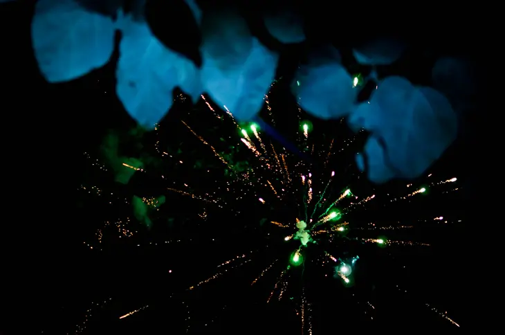 Feu d'artifice dans le ciel avec feuillage bleu d'un arbre au premier plan - photo Urielle Penn photographe de mariage