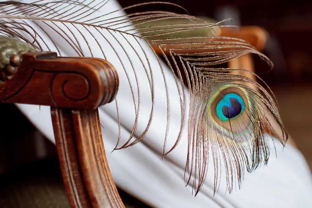 plume de paon posée sur un fauteuil en velours vert sur lequel est posée une robe de mariée - photo Urielle Penn photographe de mariage